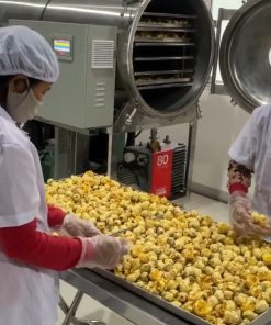Sầu riêng sấy khô giòn bằng máy sấy thăng hoa – Công nghệ sấy lạnh âm -40°C hiện đại - chi tiết máy 2