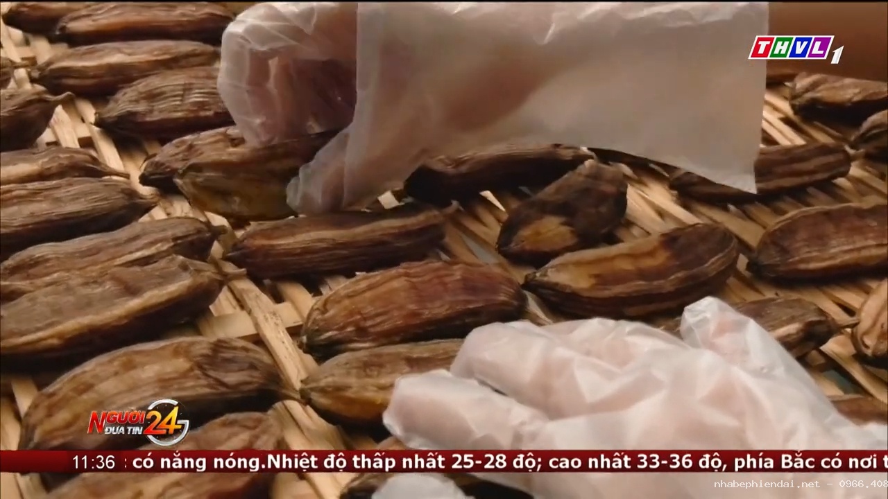Khởi Nghiệp Từ Mô Hình Sản Xuất Kinh Doanh Chuối Sấy