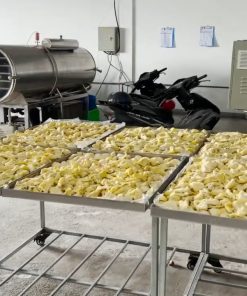 Dịch vụ sấy sầu riêng sấy thăng hoa số lượng lớn