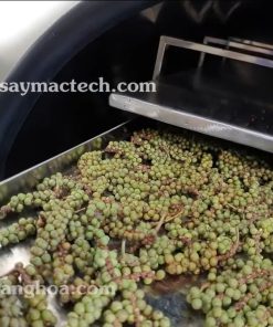 Sấy Thực Phẩm Giữ Nguyên Hình Dạng - chi tiết máy 2