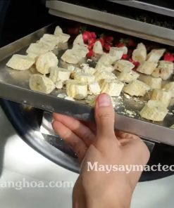 Sấy Thực Phẩm Giữ Nguyên Hình Dạng