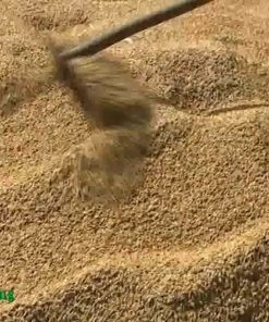 Kỹ Thuật và Kinh Nghiệm Sấy Lúa Tiết Kiệm, Đơn Giản - chi tiết máy 2