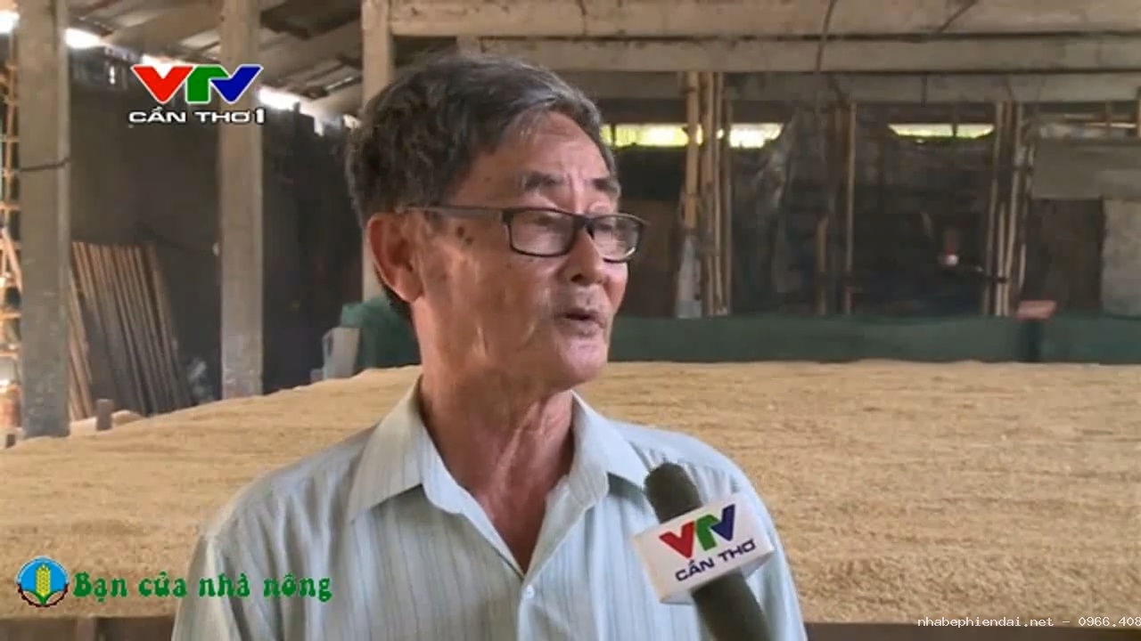 Kỹ Thuật và Kinh Nghiệm Sấy Lúa Tiết Kiệm, Đơn Giản Cho Bà Con