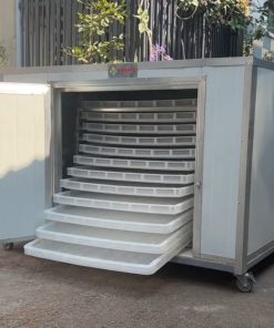 Máy sấy dẻo trái cây 30-300kg tươi mỗi mẻ