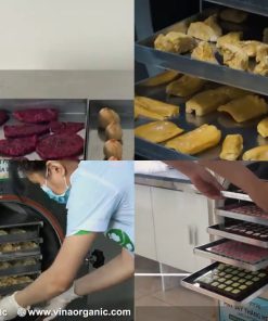 Máy Sấy Thăng Hoa Làm Sữa Chua Sấy, Sầu Riêng Sấy, Dâu Tây