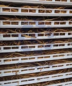 Máy Sấy Dược Liệu Kenview KV5 Tại Thái Bình