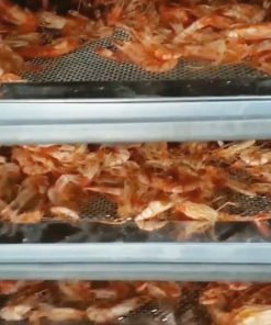 Sấy Khô Tôm Xẻ Nên Sử Dụng Máy Sấy Loại Nào Phù Hợp Nhất - chi tiết máy 2