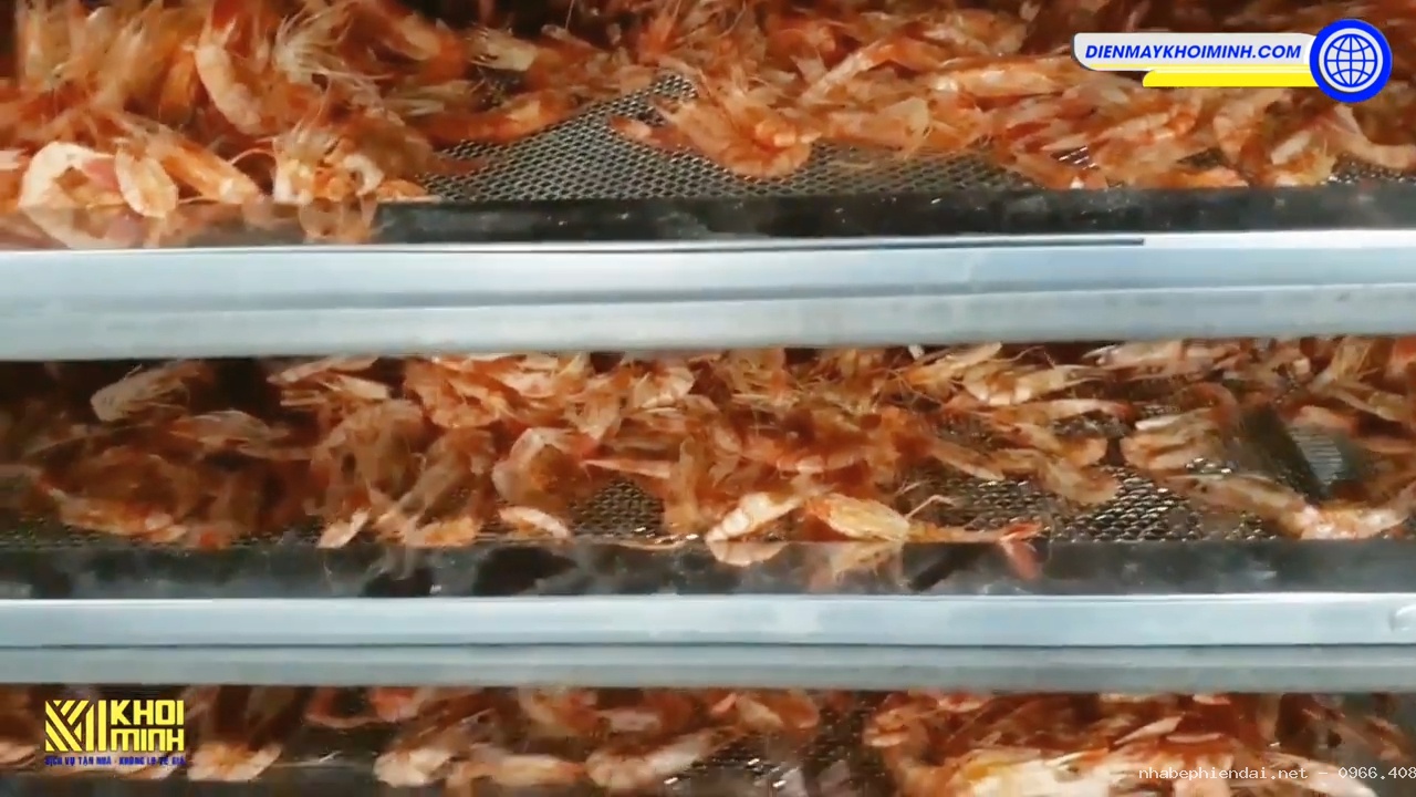 Sấy Khô Tôm Xẻ Nên Sử Dụng Máy Sấy Loại Nào Phù Hợp Nhất