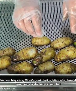 Máy Sấy Trái Nhàu Sấy Dược Liệu VinaOrganic - chi tiết máy 2