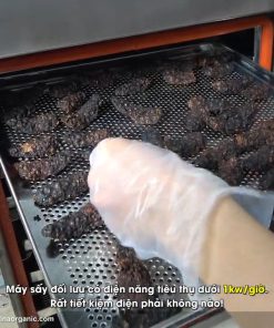 Máy Sấy Trái Nhàu Sấy Dược Liệu VinaOrganic