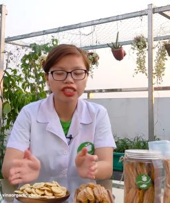 Nên Sản Xuất Chuối Sấy Dẻo Hay Chuối Sấy Giòn VinaOrganic - chi tiết máy 2