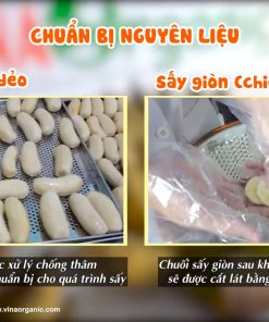 Nên Sản Xuất Chuối Sấy Dẻo Hay Chuối Sấy Giòn VinaOrganic