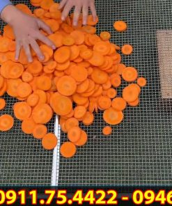 Nguyên lý hoạt động của máy sấy nõn chuối - chi tiết máy 2