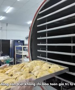 Sấy Thăng Hoa Là Gì Và Công Nghệ Sấy Thăng Hoa Nâng Cao Giá Trị Nông Sản Ra Sao? - chi tiết máy 2