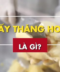 Sấy Thăng Hoa Là Gì Và Công Nghệ Sấy Thăng Hoa Nâng Cao Giá Trị Nông Sản Ra Sao?