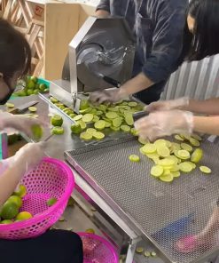 SẤY 150KG CHANH KHÔNG HẠT BẰNG MÁY SẤY NHIỆT ĐÔNG NAM KHÔ ĐỀU, MÙI THƠM, KHÔNG ĐẮNG - chi tiết máy 2