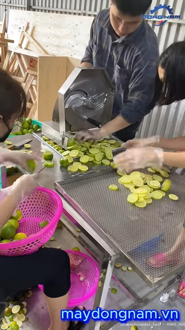 SẤY 150KG CHANH KHÔNG HẠT BẰNG MÁY SẤY NHIỆT ĐÔNG NAM KHÔ ĐỀU, MÙI THƠM, KHÔNG ĐẮNG