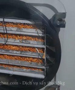 Dịch vụ sấy thuê 5kg, sấy nấm đông trùng, sấy hoa quả giòn - chi tiết máy 2