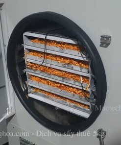 Dịch vụ sấy thuê 5kg, sấy nấm đông trùng, sấy hoa quả giòn