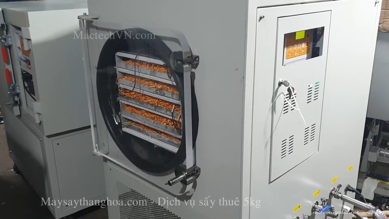 Dịch vụ sấy thuê 5kg, sấy nấm đông trùng, sấy hoa quả giòn