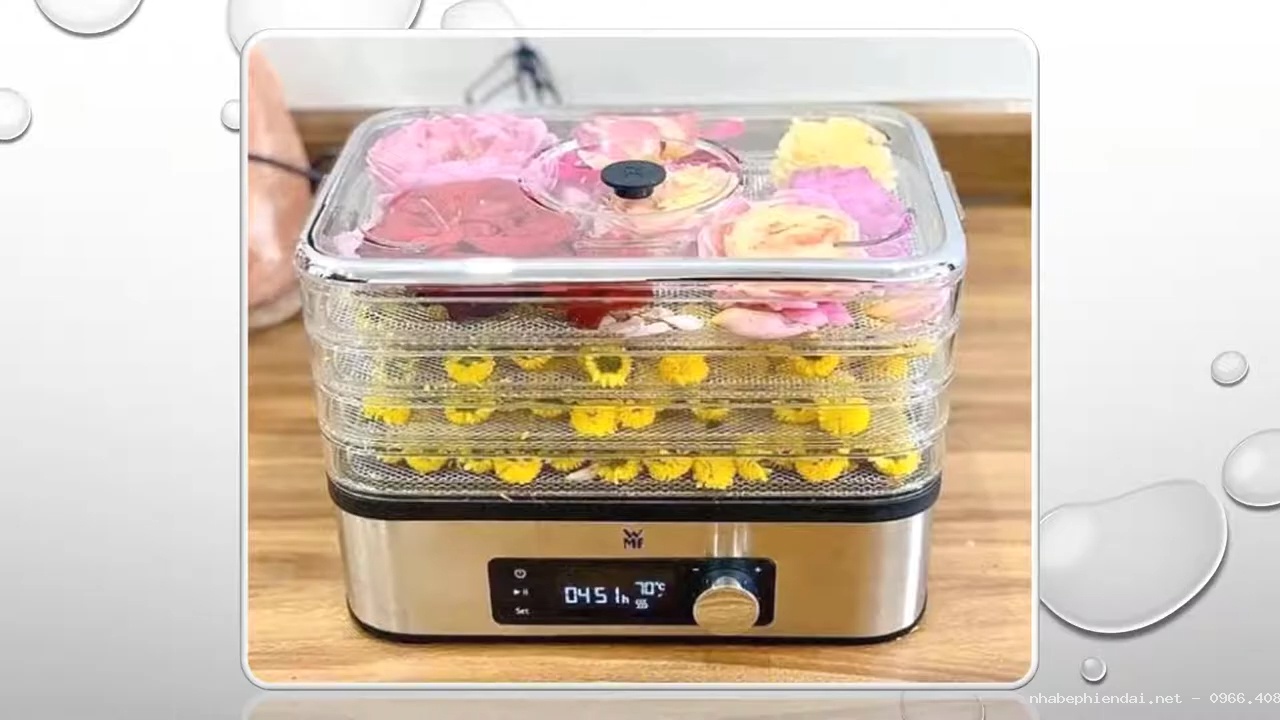 Top 7 Máy Sấy Thực Phẩm, Máy Sấy Trái Cây Gia Đình Loại Nào Tốt Nhất Hiện Nay