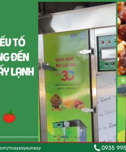 Giá máy sấy lạnh cho hoa quả xuất khẩu 2025 - chi tiết máy 2