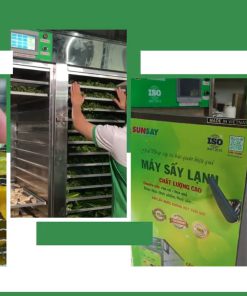 Giá máy sấy lạnh cho hoa quả xuất khẩu 2025