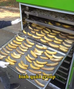 Máy sấy trái cây, thịt cá, rau củ đa năng
