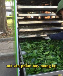 Máy sấy trái cây, thịt cá, rau củ đa năng - chi tiết máy 2