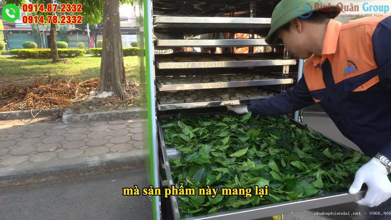 Máy sấy trái cây, thịt cá, rau củ đa năng