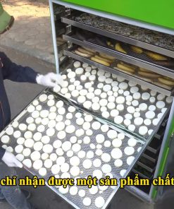 Máy sấy trái cây, thịt cá, rau củ đa năng - chi tiết máy 3