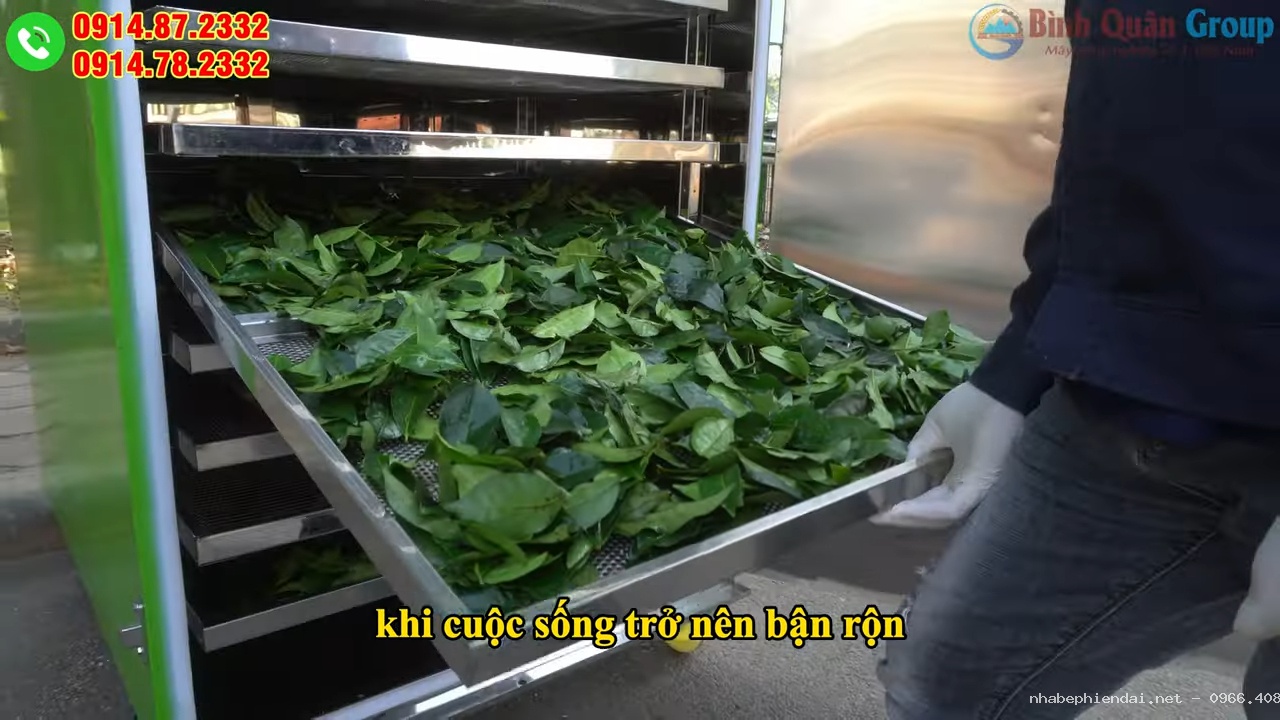 Máy sấy trái cây, thịt cá, rau củ đa năng