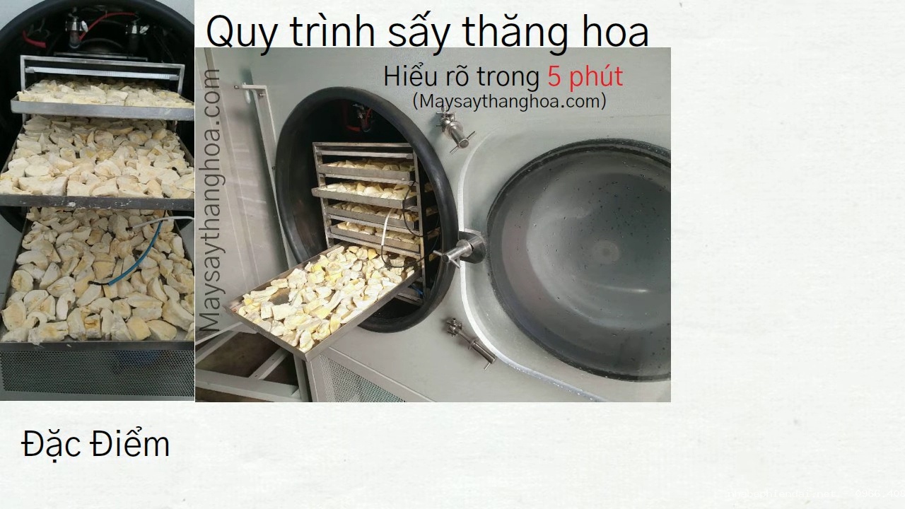 Quy trình công nghệ sấy thăng hoa
