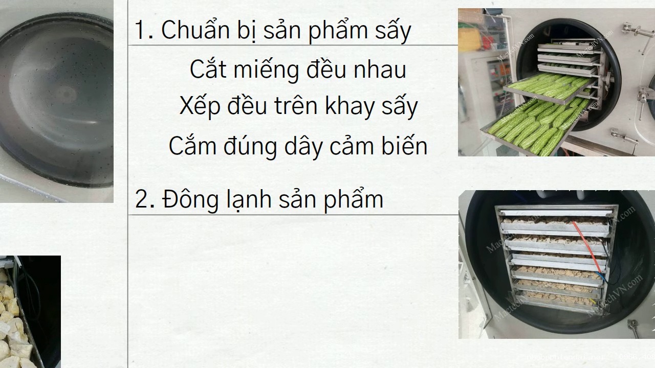 Quy trình công nghệ sấy thăng hoa