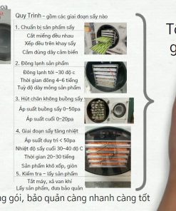 Quy trình công nghệ sấy thăng hoa
