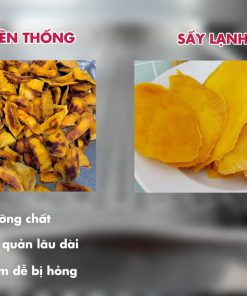 So sánh sấy lạnh và sấy truyền thống