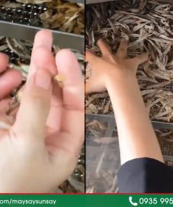 Chế biến cá cơm sấy khô thơm ngon bằng máy sấy thực phẩm