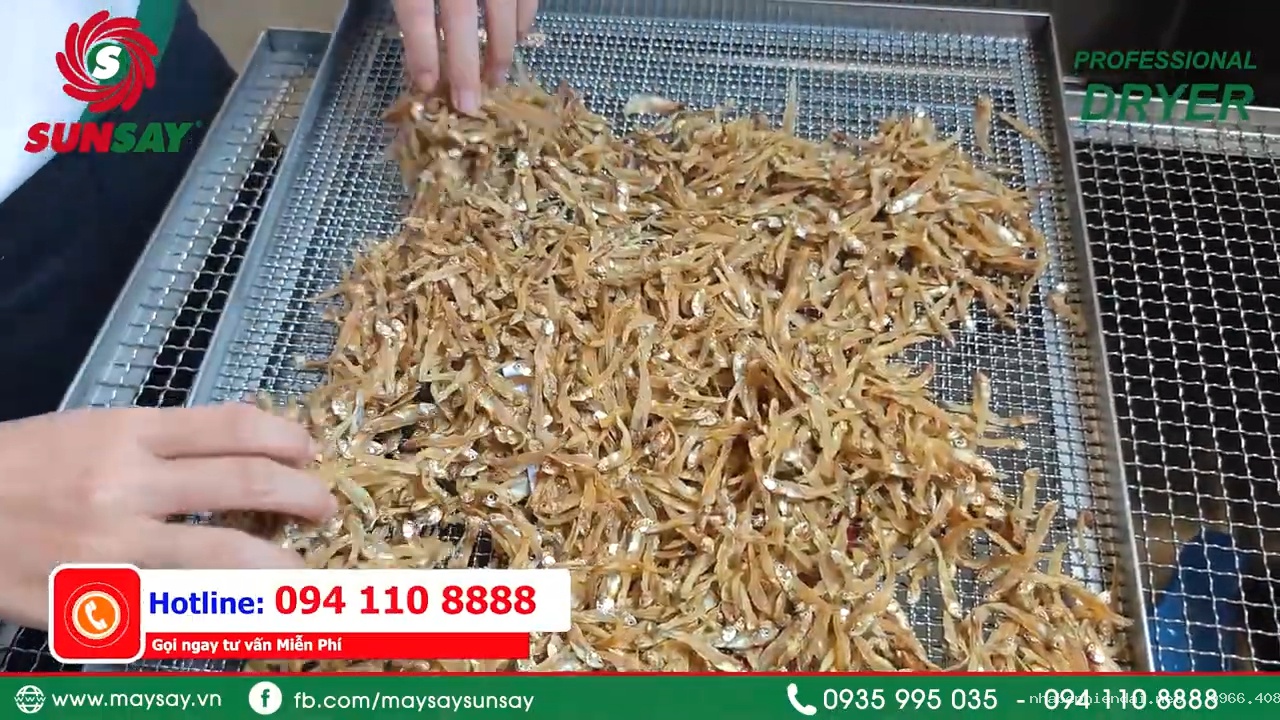 Chế biến cá cơm sấy khô thơm ngon bằng máy sấy thực phẩm