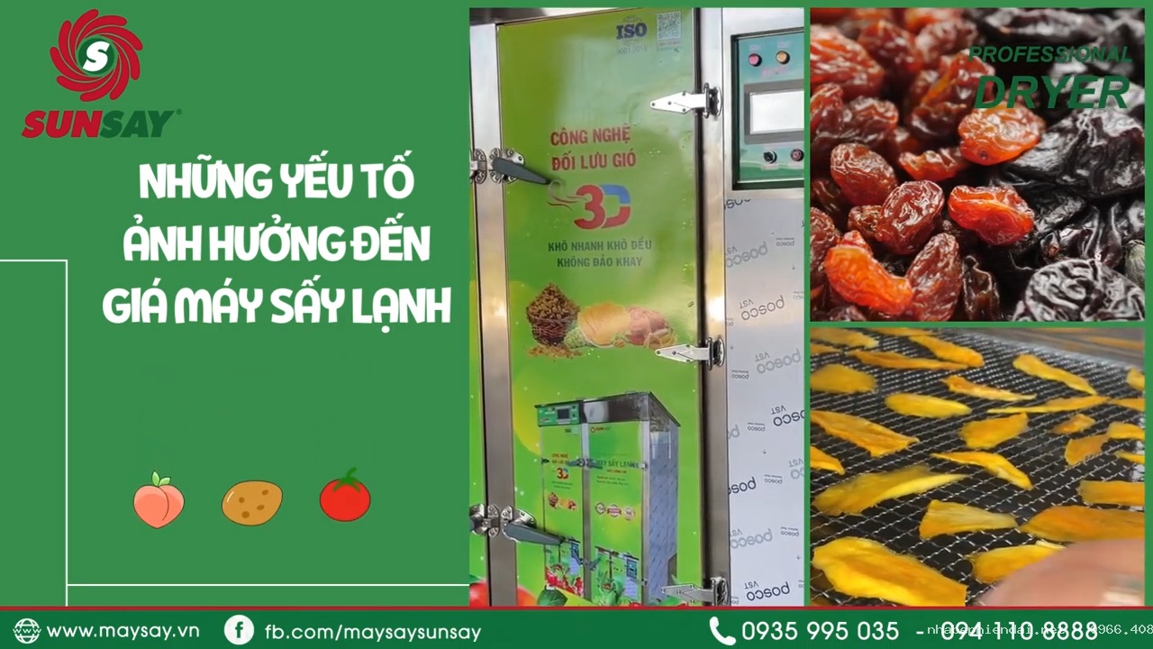 Máy sấy lạnh cho hoa quả xuất khẩu – Giải pháp giữ màu và dinh dưỡng