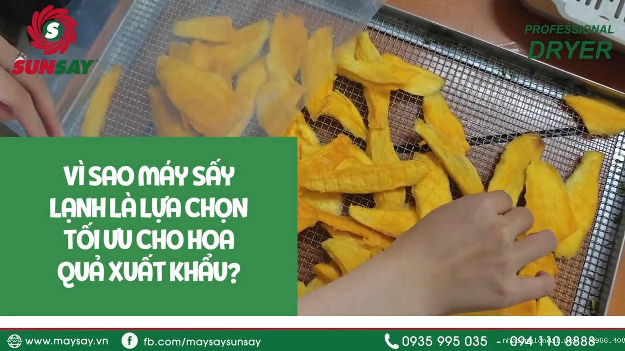 Máy sấy lạnh cho hoa quả xuất khẩu – Giải pháp giữ màu và dinh dưỡng