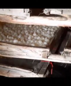Lò sấy long nhãn chạy bằng nhớt thải