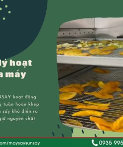 Vì sao máy sấy lạnh trở thành xu hướng tất yếu của nông nghiệp hiện đại - chi tiết máy 2