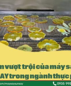 Vì sao máy sấy lạnh trở thành xu hướng tất yếu của nông nghiệp hiện đại