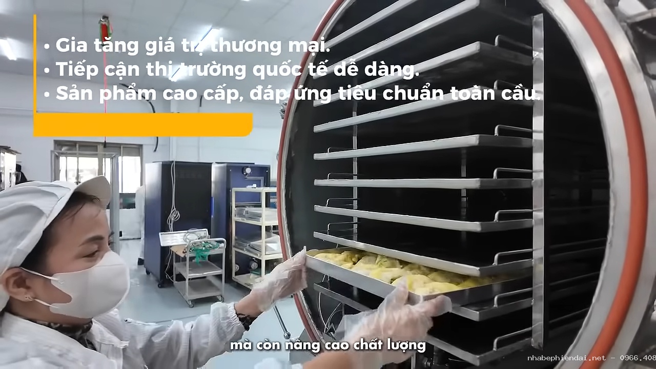 Sấy Thăng Hoa Là Gì, Sấy Chân Không Là Gì – Khái Niệm Công Nghệ Sấy Hiện Đại Trong Nông Nghiệp