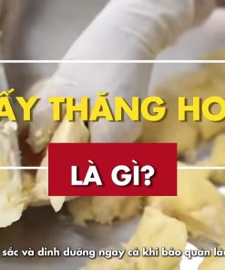 Sấy Thăng Hoa Là Gì, Sấy Chân Không Là Gì – Khái Niệm Công Nghệ Sấy Hiện Đại Trong Nông Nghiệp