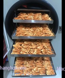 Hướng Dẫn Sấy Nấm Đông Trùng Hạ Thảo Bằng Máy Sấy Thăng Hoa 5kg