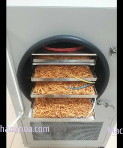 Sấy Nấm Đông Trùng Hạ Thảo Bằng Máy Sấy Thăng Hoa 5kg - chi tiết máy 4