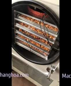 Sấy Nấm Đông Trùng Hạ Thảo Bằng Máy Sấy Thăng Hoa 5kg - chi tiết máy 3