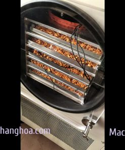 Sấy Nấm Đông Trùng Hạ Thảo Bằng Máy Sấy Thăng Hoa 5kg - chi tiết máy 2