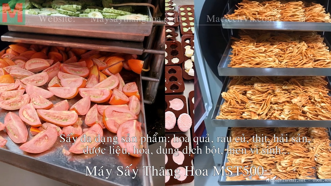Máy Sấy Thăng Hoa Công Nghiệp 50kg Sấy Trái Cây, Rau Củ, Dược Liệu Quy Mô Lớn